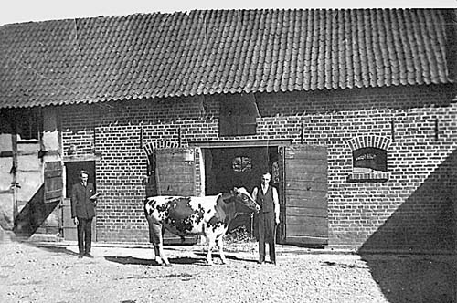 Neuwald 3