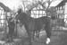 Kurscheid Karl-Heinz mit Max u Lotte sw