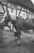 Simon Reini mit Pferd